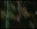 PDVD_2410