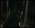 PDVD_2414