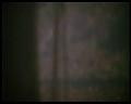 PDVD_2433