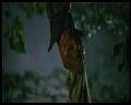 PDVD_2438