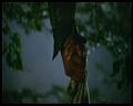 PDVD_2439