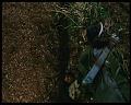 PDVD_2440