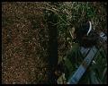 PDVD_2441