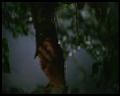 PDVD_2443