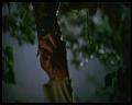 PDVD_2444