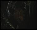 PDVD_2446