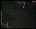 PDVD_2470