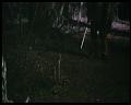 PDVD_2489