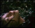 PDVD_2504
