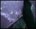 PDVD_2508