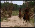 PDVD_2558