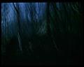 PDVD_2598