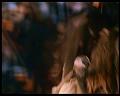 PDVD_2709