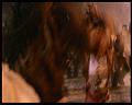 PDVD_2730