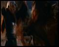 PDVD_2770