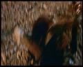 PDVD_2792