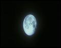 PDVD_3004
