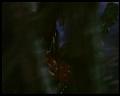 PDVD_3013