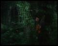 PDVD_3017