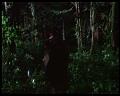 PDVD_3018