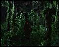 PDVD_3019