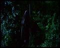 PDVD_3020