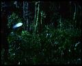 PDVD_3022