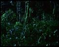 PDVD_3023