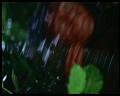PDVD_3026