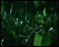 PDVD_3027