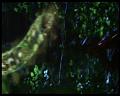 PDVD_3028
