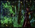 PDVD_3030