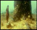 PDVD_3041