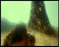 PDVD_3049