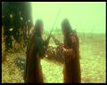 PDVD_3064