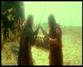 PDVD_3065
