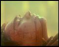 PDVD_3086