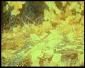 PDVD_3131