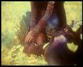 PDVD_3138