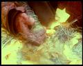 PDVD_3143
