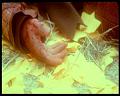 PDVD_3144