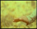 PDVD_3145