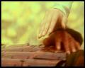 PDVD_3148