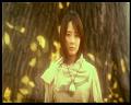 PDVD_3161