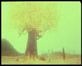 PDVD_3162