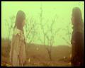 PDVD_3164