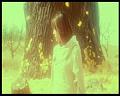 PDVD_3182
