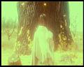 PDVD_3184