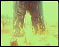 PDVD_3186