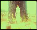PDVD_3187